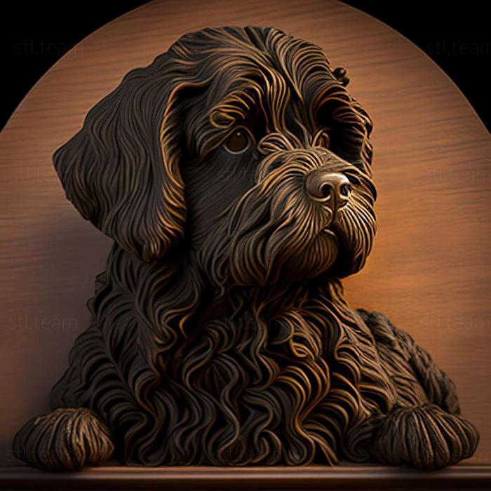 Animals Portuguese Water dog